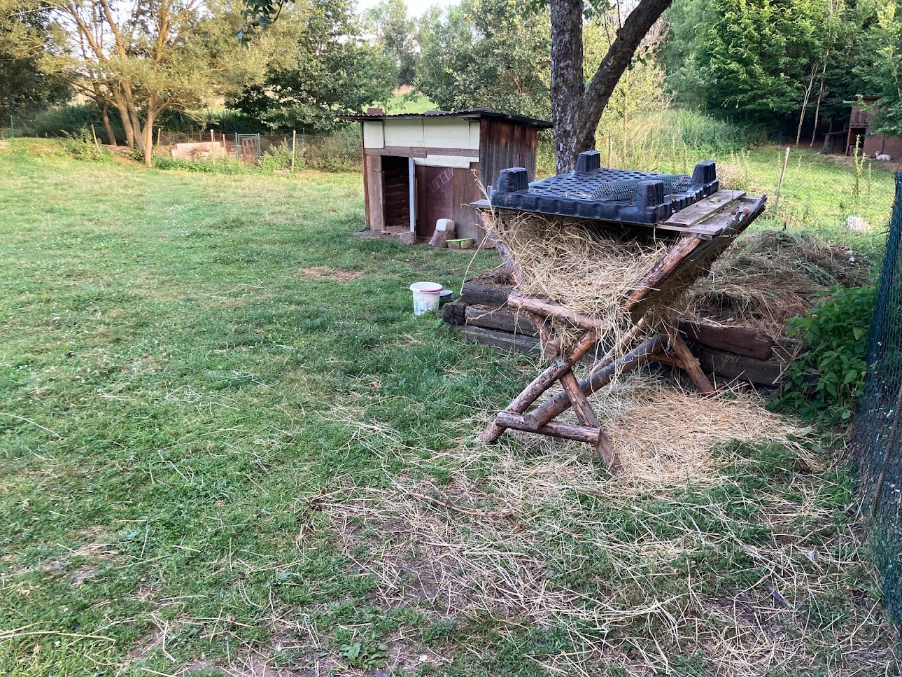 Prostřední pastvina s krmelcem a kachňákem