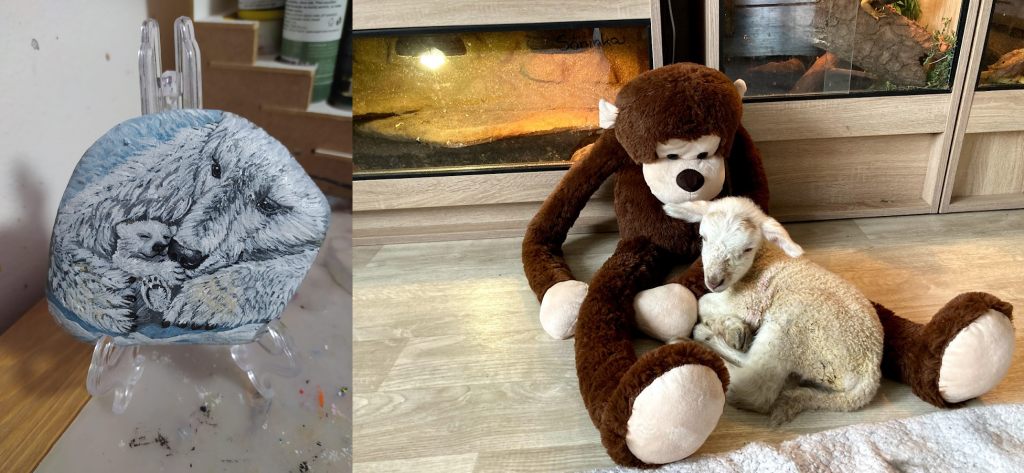 Lední medvídci nakreslené úžasnou Monikou Božkou Němcovou pro naše zvířátka, získala v aukci dobrodinka Radka Salvet. Oběma zvířátka děkují.